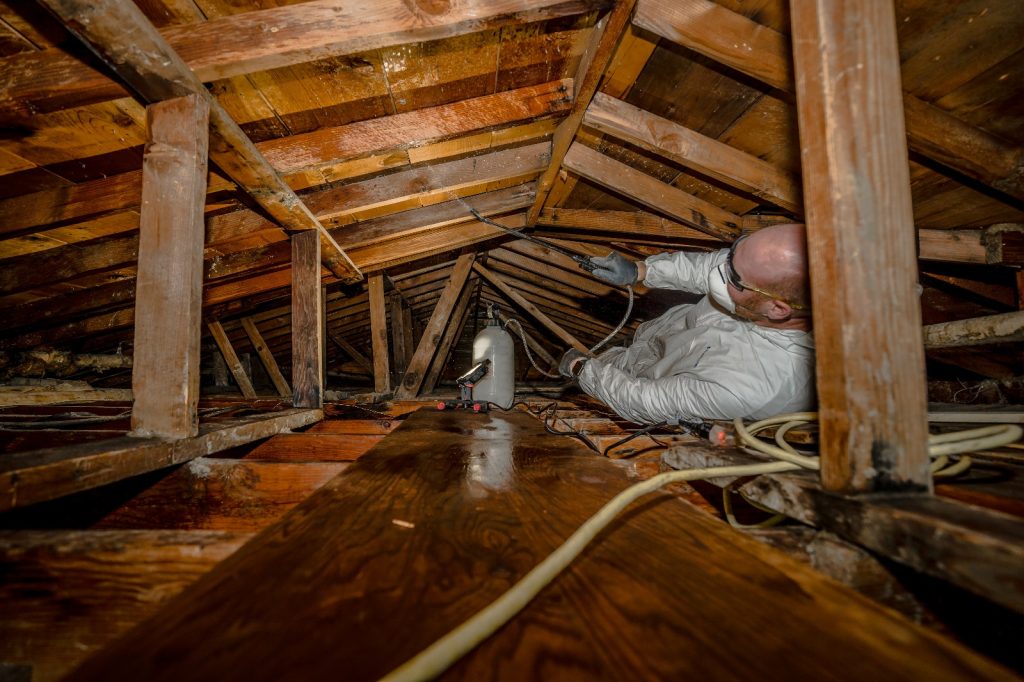 Ways to Prevent Mold Growth and Protect Your Home